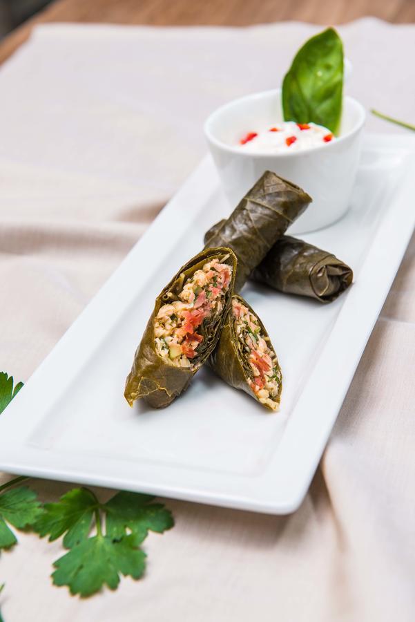The Lifeco Antalya Well-Being Detox Center And Vegan Hotel Εξωτερικό φωτογραφία