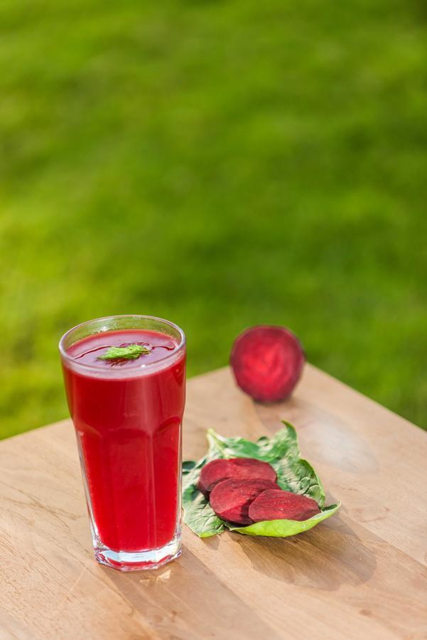 The Lifeco Antalya Well-Being Detox Center And Vegan Hotel Εξωτερικό φωτογραφία