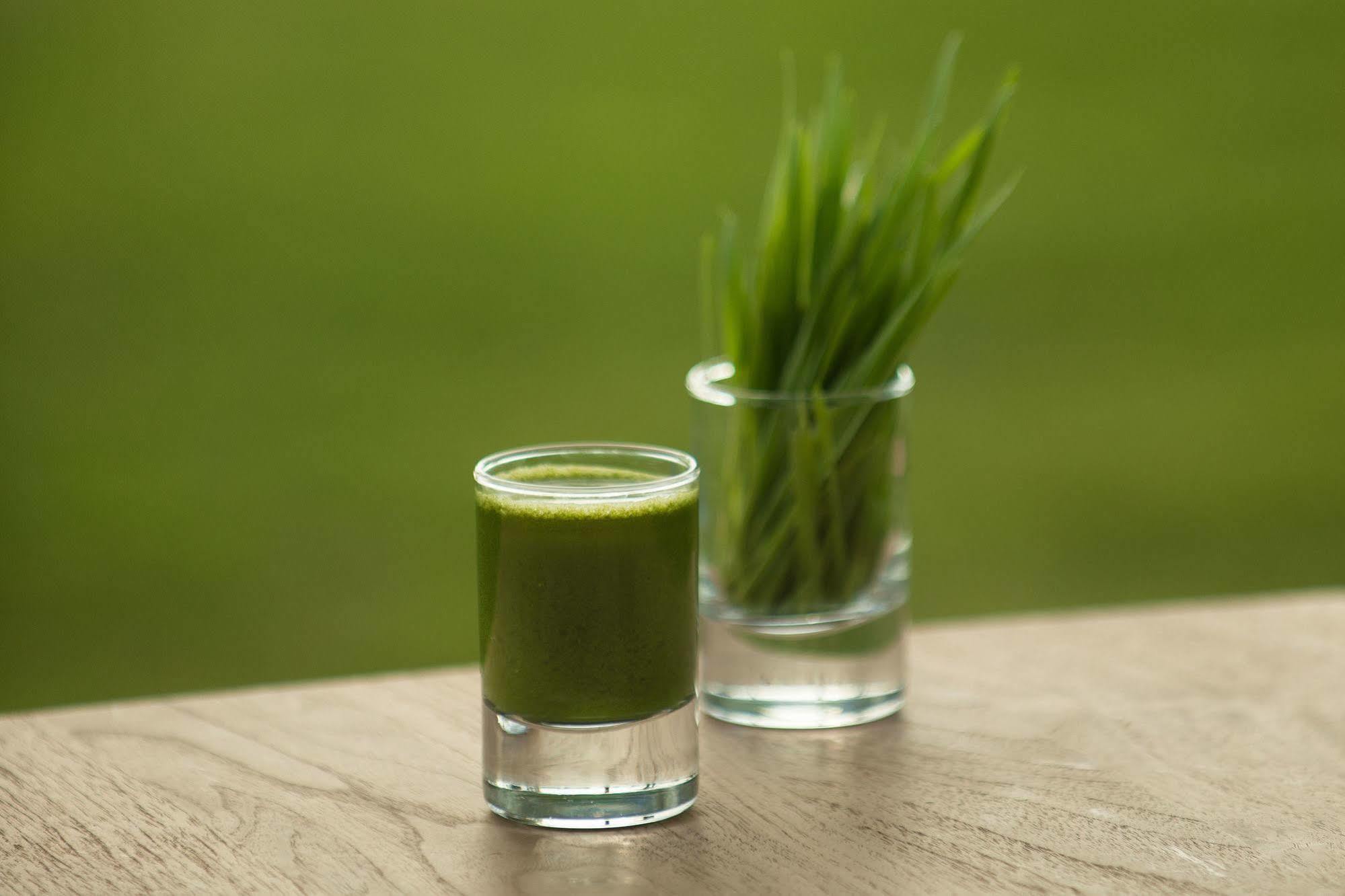 The Lifeco Antalya Well-Being Detox Center And Vegan Hotel Εξωτερικό φωτογραφία